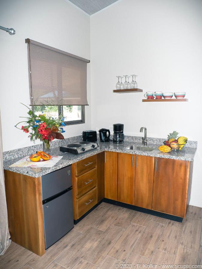 Luxury Apartments Nauyaca By Paradiselodge Platanillo Exterior photo