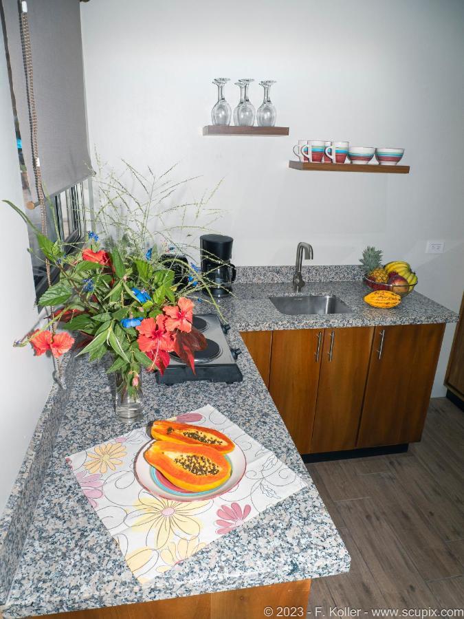Luxury Apartments Nauyaca By Paradiselodge Platanillo Exterior photo
