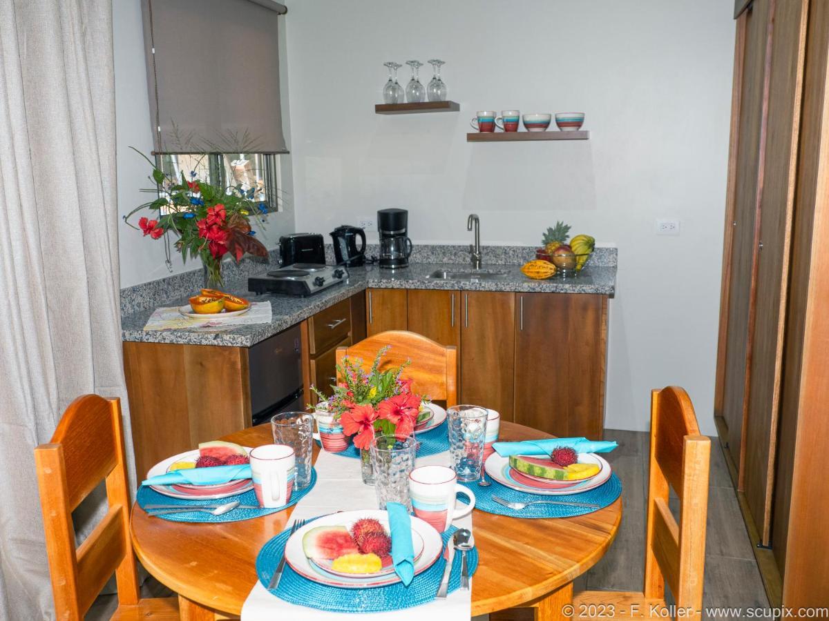 Luxury Apartments Nauyaca By Paradiselodge Platanillo Exterior photo